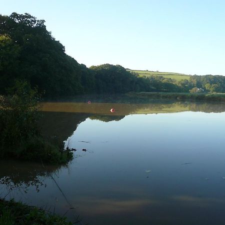 Rumleigh Farm Bere Alston Zewnętrze zdjęcie